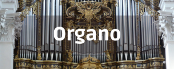 Organo_corso